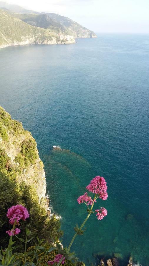 Hotel La Ginestra Corniglia Exterior foto